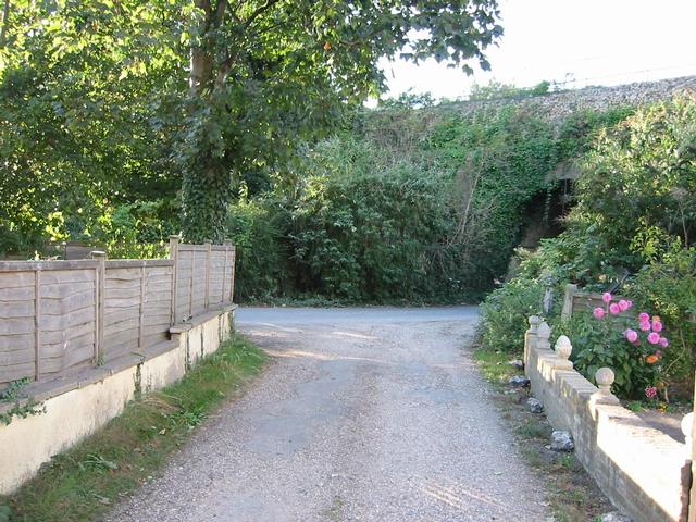 Photograph img_3351.jpg