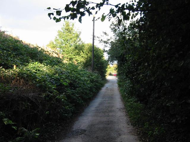 Photograph img_3355.jpg