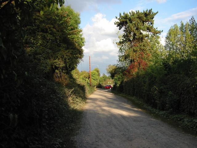 Photograph img_3356.jpg
