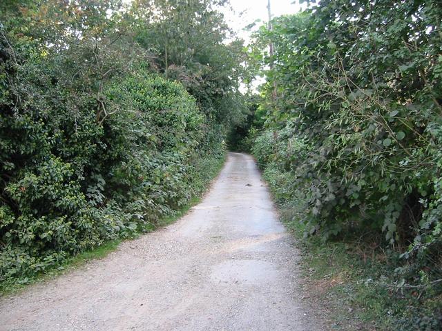 Photograph img_3360.jpg