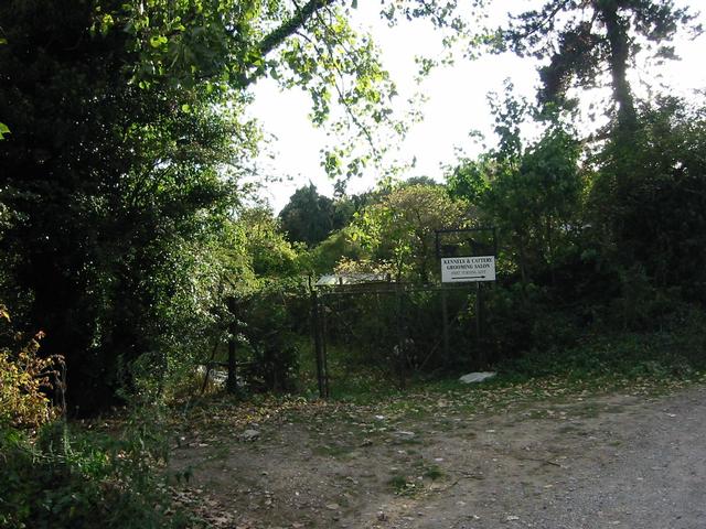 Photograph img_3361.jpg