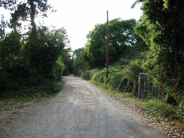 Photograph img_3362.jpg