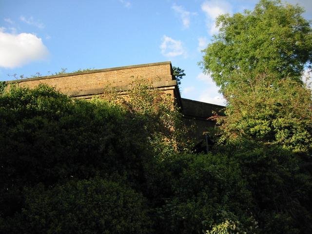 Photograph img_3363.jpg