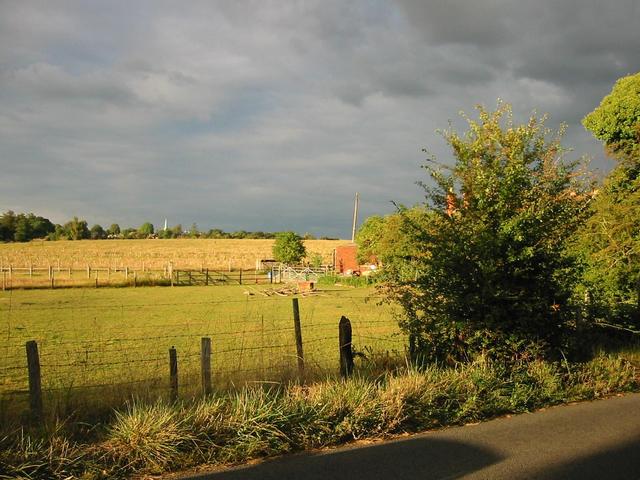 Photograph img_3397.jpg