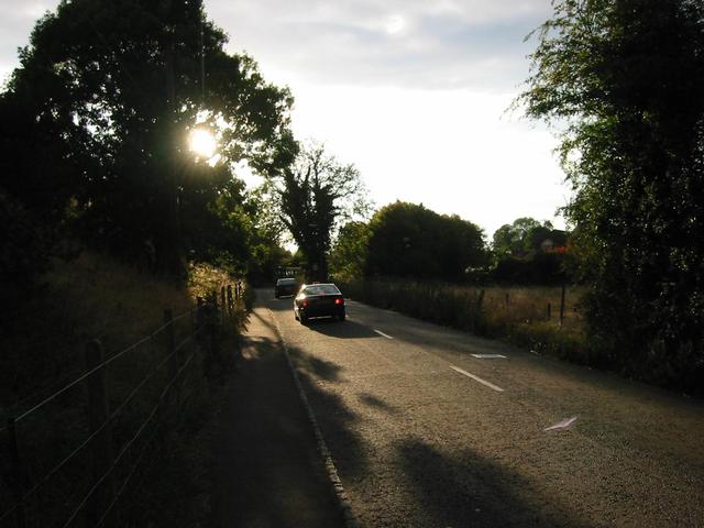 Photograph img_3398.jpg