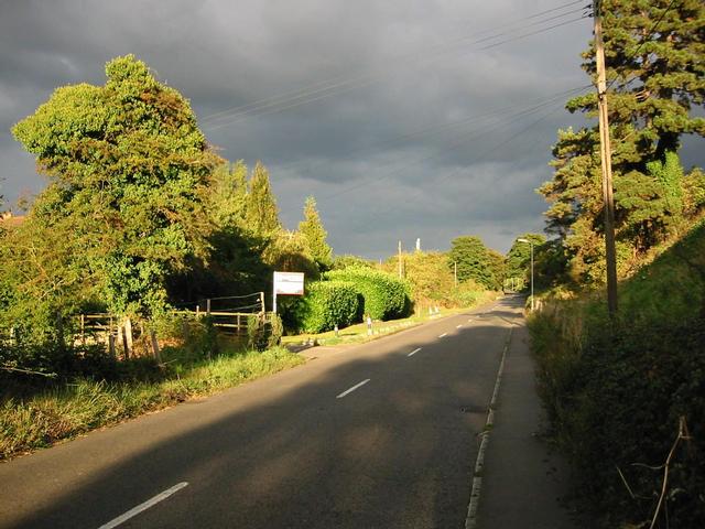 Photograph img_3399.jpg