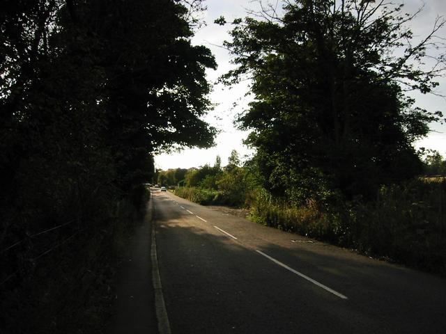 Photograph img_3406.jpg