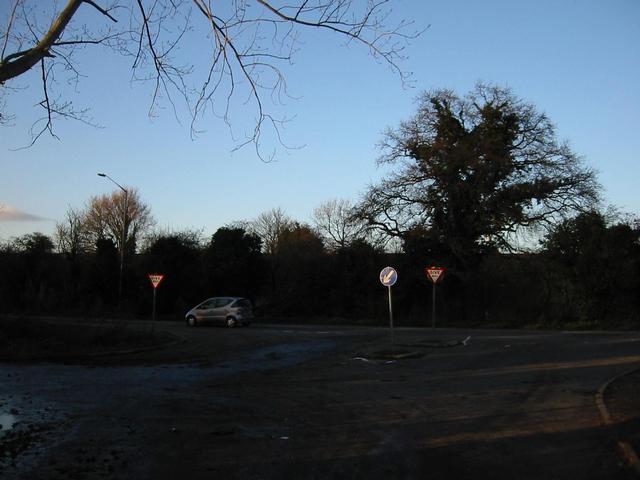 Photograph img_3669.jpg