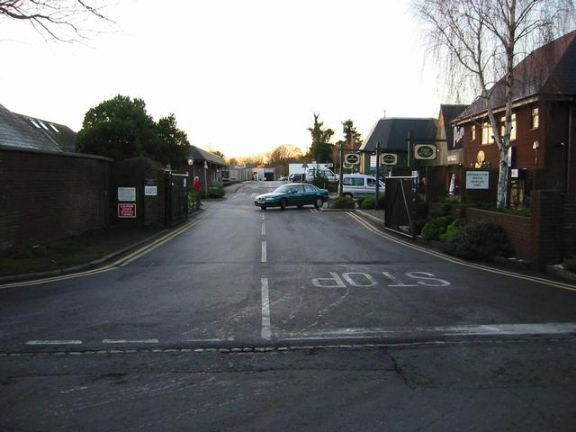 Photograph img_3730.jpg