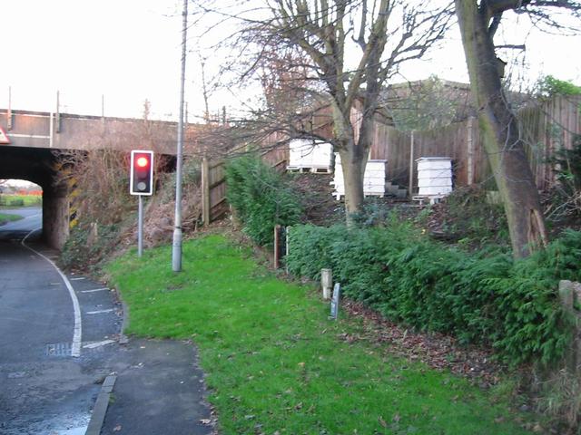 Photograph img_3737.jpg